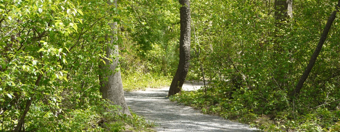 NORTH RIVER OUTDOORS Sales -NORTH RIVER OUTDOORS Sales c16hhh