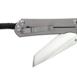 CHRIS REEVE KNIVES Chris Reeve Large Sebenza 31 Sprint Tanto S35VN Glass Blast Titanium Folder