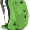 OSPREY PACKS Osprey RADIAL 34 Day Pack Backpacks